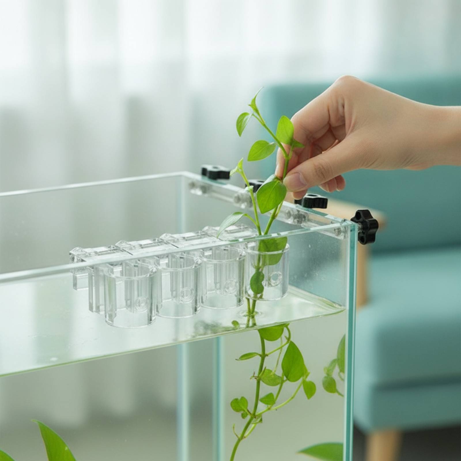 Aquarium Planted Plants - 6 stuks Aquarium Planter Clear Hydroponic
