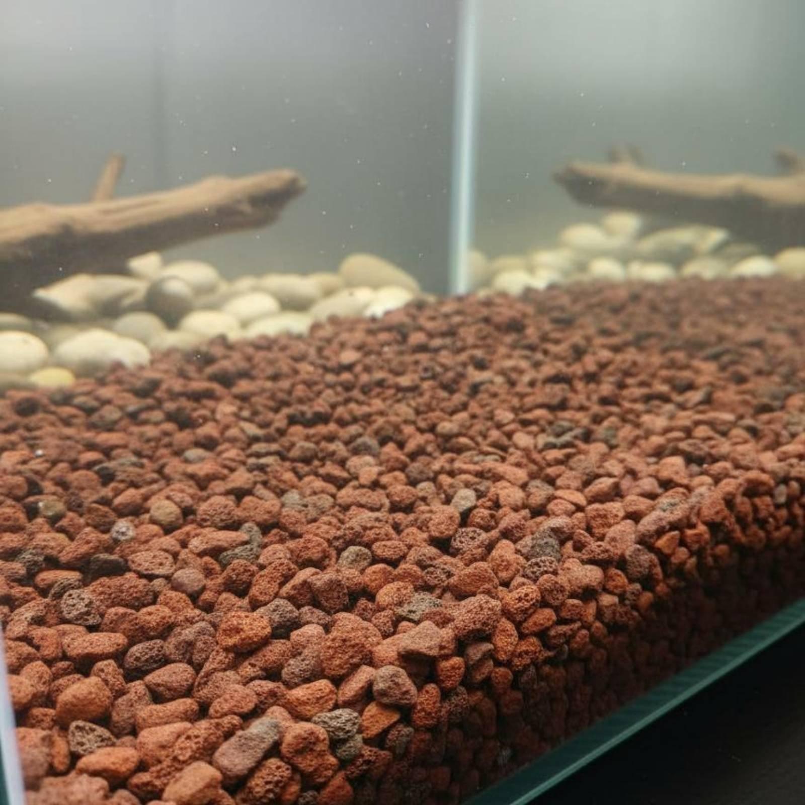 Planted Aquarium With Rocks - Aquariumdecoratie: natuurlijke vulkanische lava-stenen voor het