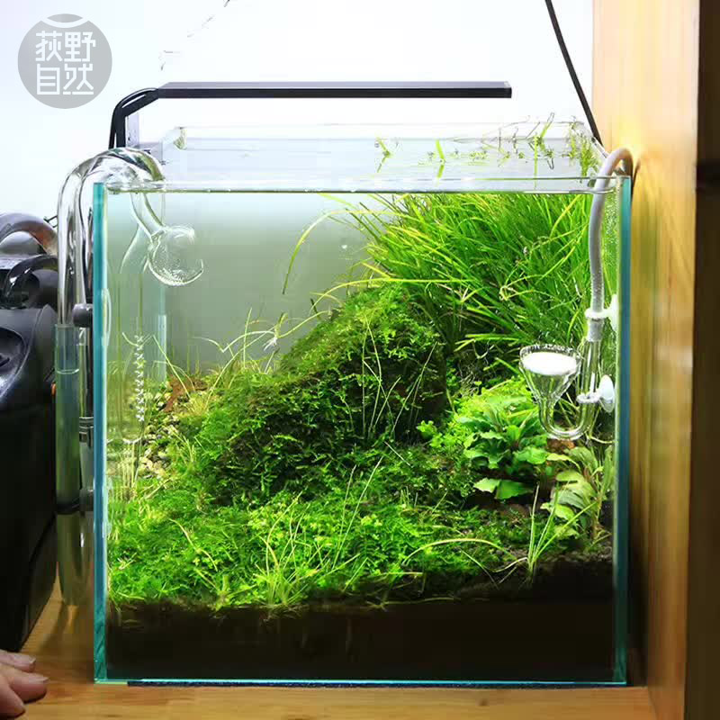 Planted Aquarium Ada - Chihiros C serie ADA stijl Plant