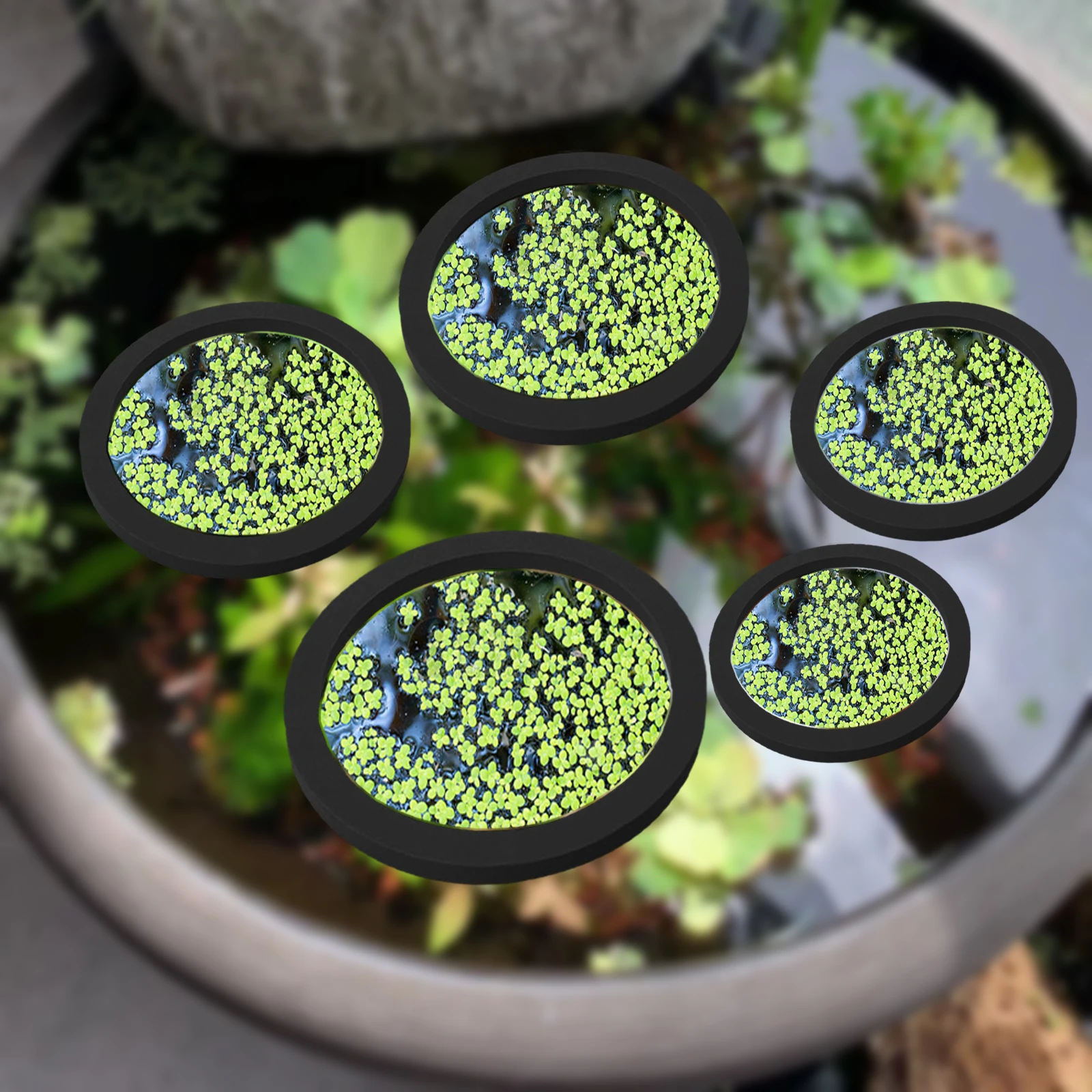 Aquarium Planted Plants - 5 stks EVA Vis Voeden Ring