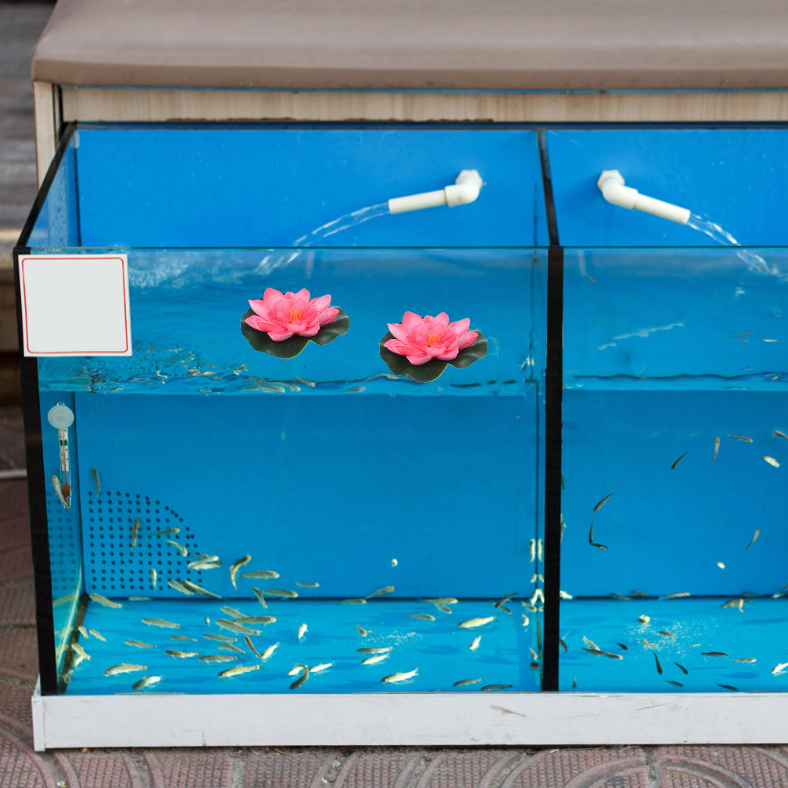 12 stuks kunstmatige drijvende - Aquarium Planted Plants recensie en prijs
