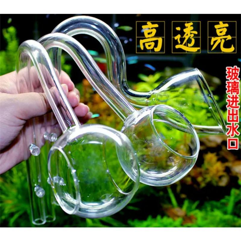 Lelie glas pijp ADA kwaliteit  - Planted Aquarium Ada recensie en prijs