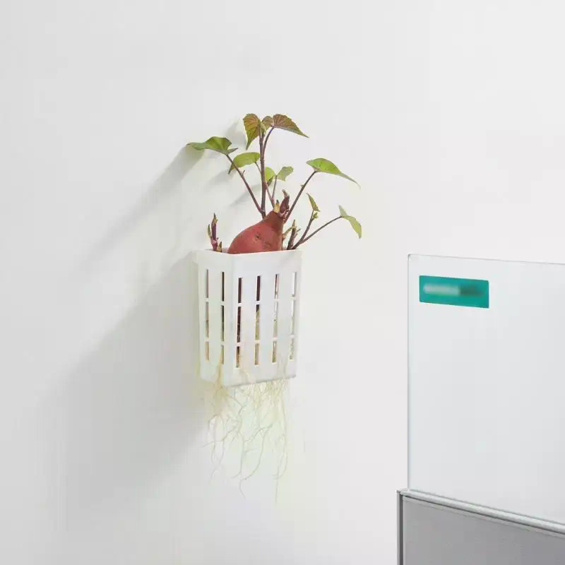 1 Stuks Hydroponische Onderste - Aquarium Planted Plants recensie en prijs