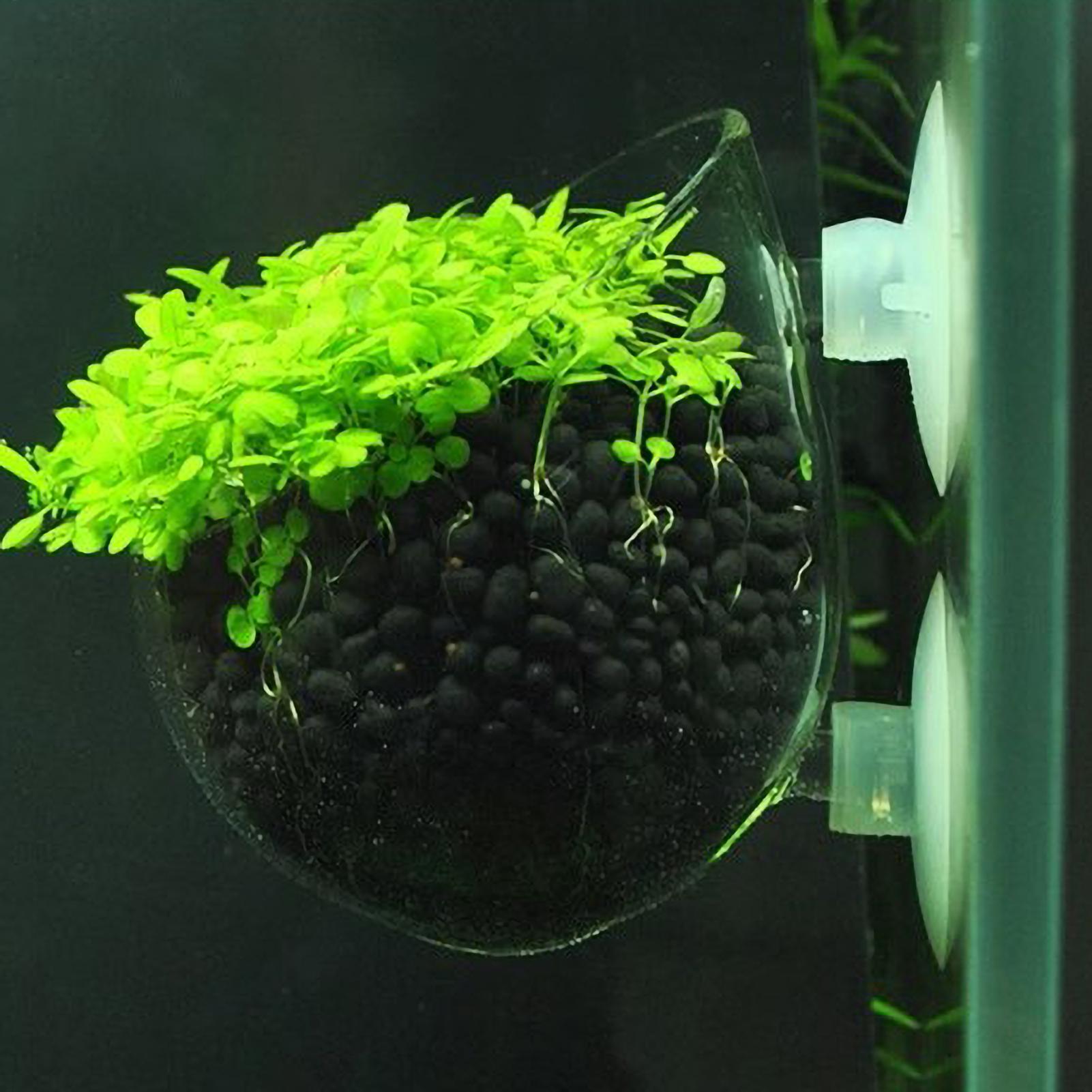 Aquariumplantenhouder Glazen A - Aquarium Planted Tank Substrate recensie en prijs