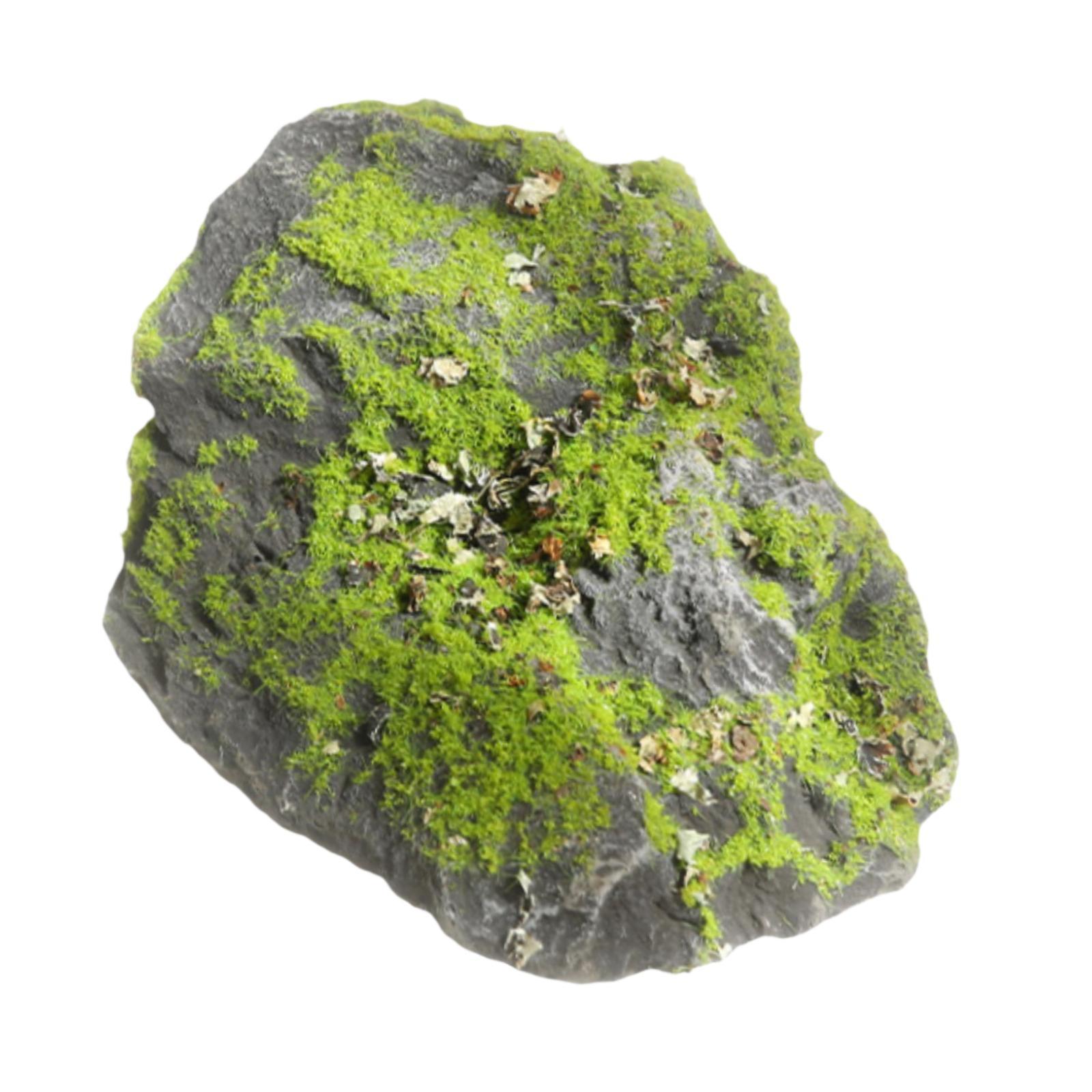Kunstmatige mossteen, realisti - Planted Aquarium With Rocks recensie en prijs