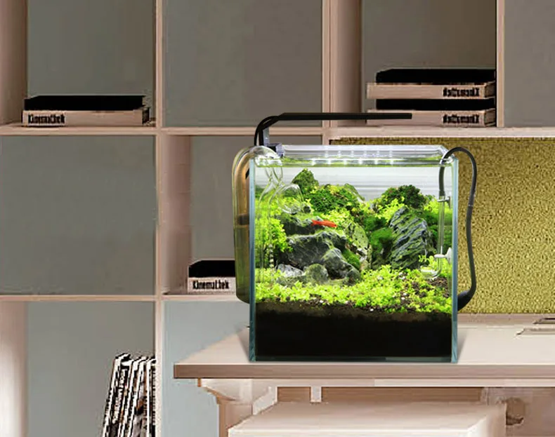 Spiritedos C-serie ADA-stijl P - Planted Aquarium Ada recensie en prijs