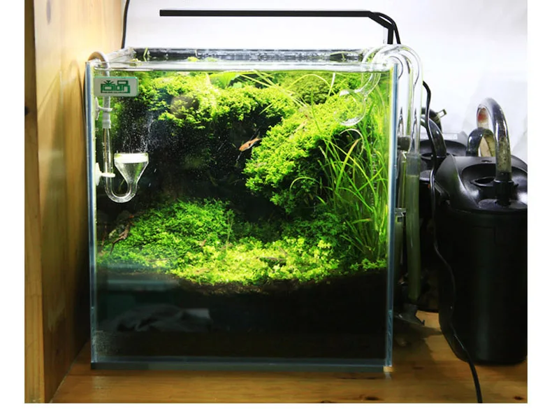 Spiritedos C-serie ADA-stijl P - Planted Aquarium Ada recensie en prijs