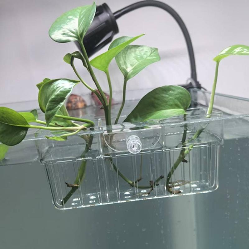 Hydroponische plantenmand, voe - Aquarium Planted Plants recensie en prijs