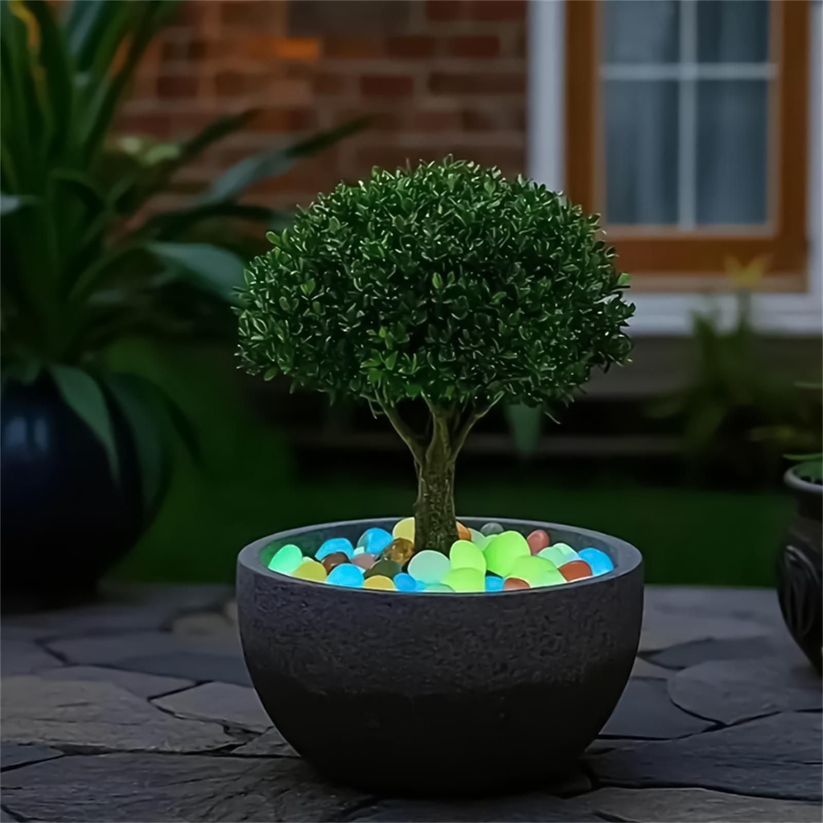 Landschapsstenen 20 stuks 1,8  - Planted Aquarium With Rocks recensie en prijs