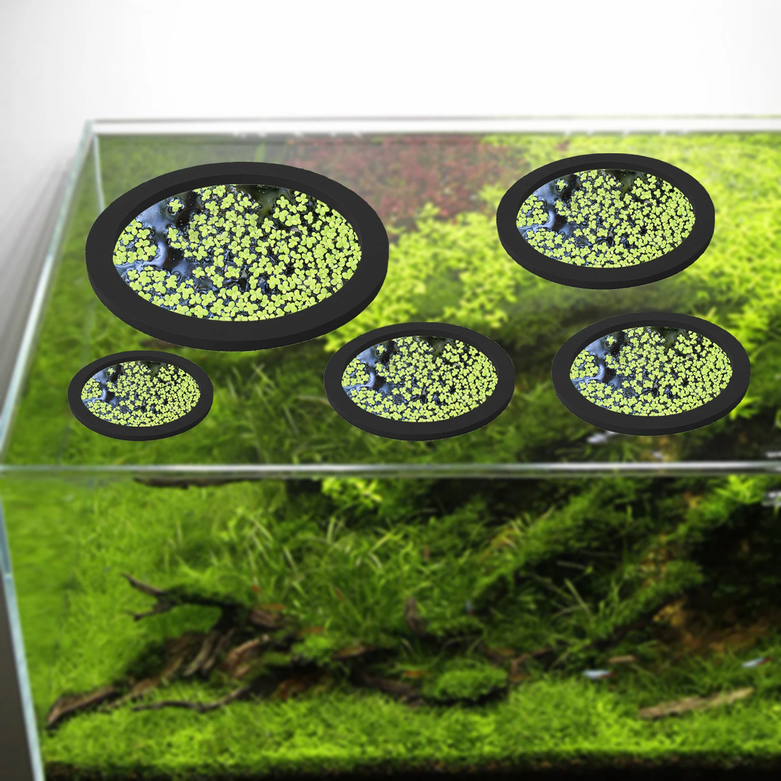 5 stks EVA Vis Voeden Ring Aqu - Aquarium Planted Plants recensie en prijs