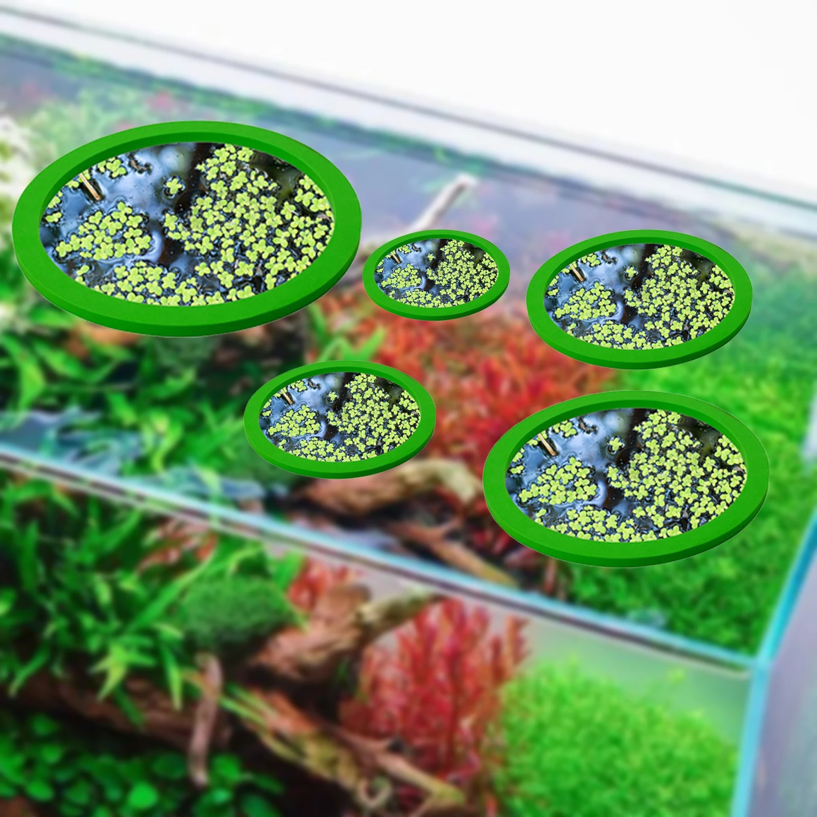 5 stks EVA Vis Voeden Ring Aqu - Aquarium Planted Plants recensie en prijs