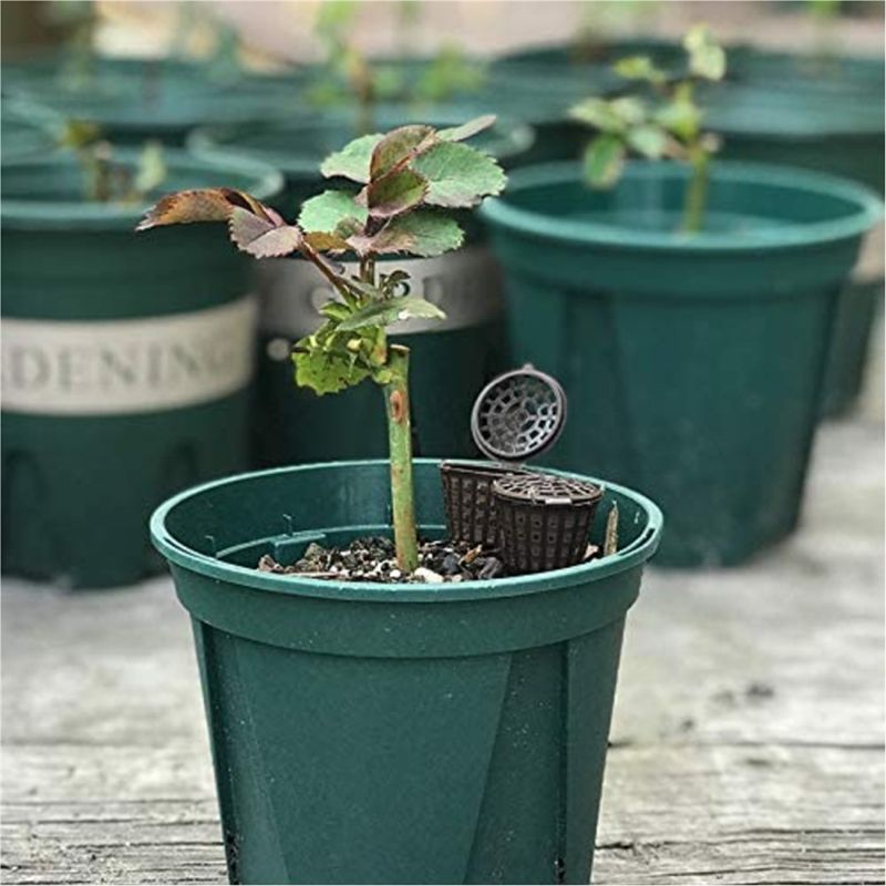 ABUH-Garden Kweekbakken Meshma - Planted Aquarium Fertilizer recensie en prijs