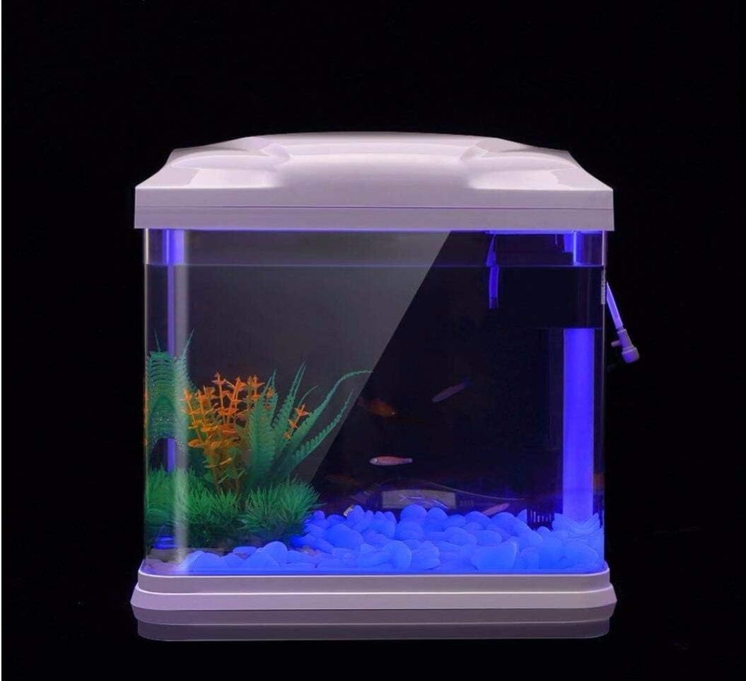 Aquarium Rotsen Glow Blue Kiez - Aquarium Planted Plants recensie en prijs
