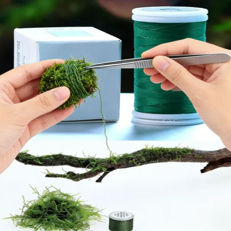 Biologisch afbreekbare aquariu - Planted Aquarium With Rocks recensie en prijs