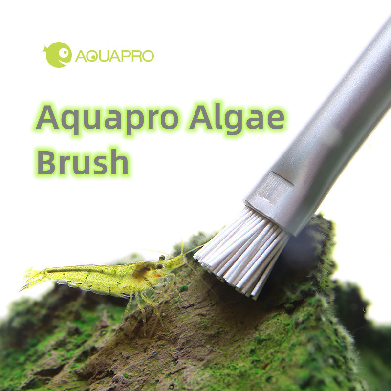 Aquapro Algen Borstel Aquarium - Planted Aquarium Ada recensie en prijs